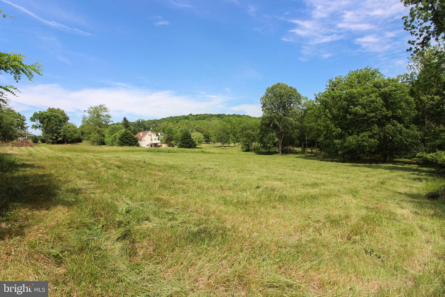 DODSON RD, MOUNT JACKSON, Virginia 22842, ,Land,For sale,DODSON RD,VASH2011518 MLS # VASH2011518