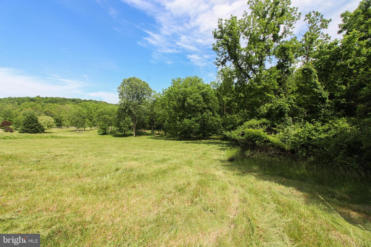 DODSON RD, MOUNT JACKSON, Virginia 22842, ,Land,For sale,DODSON RD,VASH2011518 MLS # VASH2011518