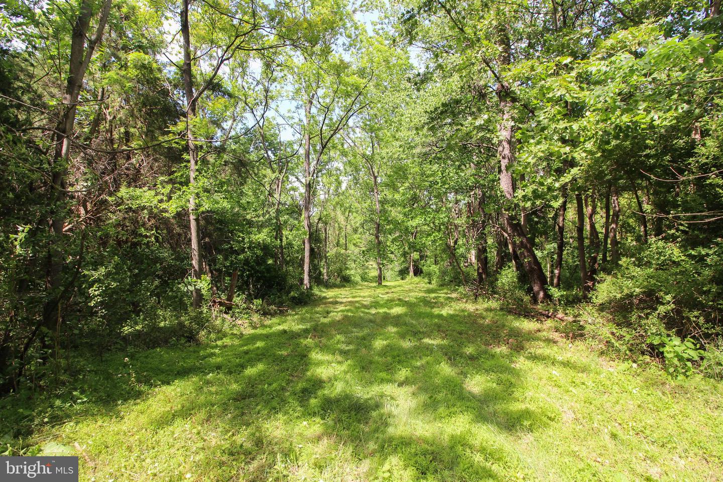 DODSON RD, MOUNT JACKSON, Virginia 22842, ,Land,For sale,DODSON RD,VASH2011518 MLS # VASH2011518
