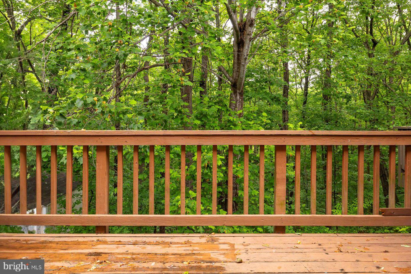 9814 DOMINION FOREST CIR, FREDERICKSBURG, Virginia 22408, 4 Bedrooms Bedrooms, ,3 BathroomsBathrooms,Residential,For sale,9814 DOMINION FOREST CIR,VASP2030978 MLS # VASP2030978