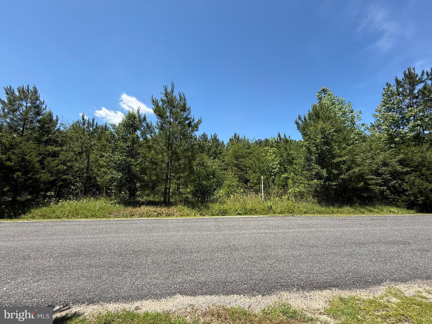 0 OAK TREE DR, KING GEORGE, Virginia 22485, ,Land,For sale,0 OAK TREE DR,VAKG2006462 MLS # VAKG2006462