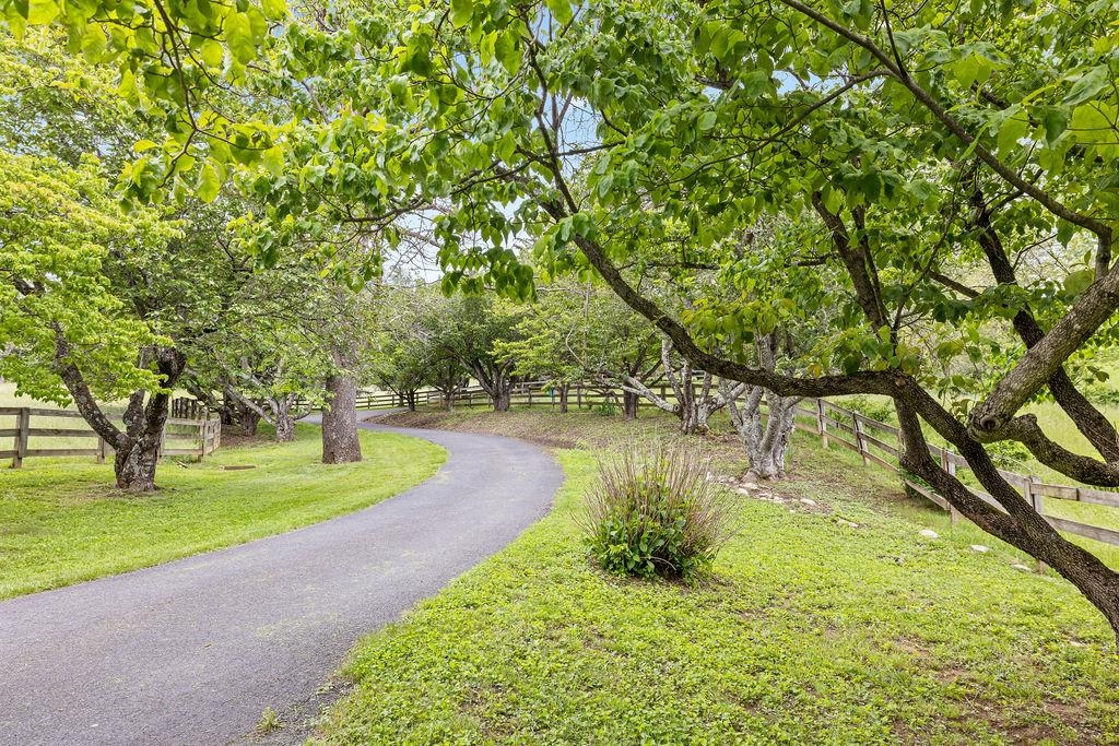 188 MIDDLEBROOK RD, STAUNTON, Virginia 24401, 3 Bedrooms Bedrooms, ,3 BathroomsBathrooms,Residential,Classic Mid-Century 4-level split on 11.3 acres, w,188 MIDDLEBROOK RD,664822 MLS # 664822