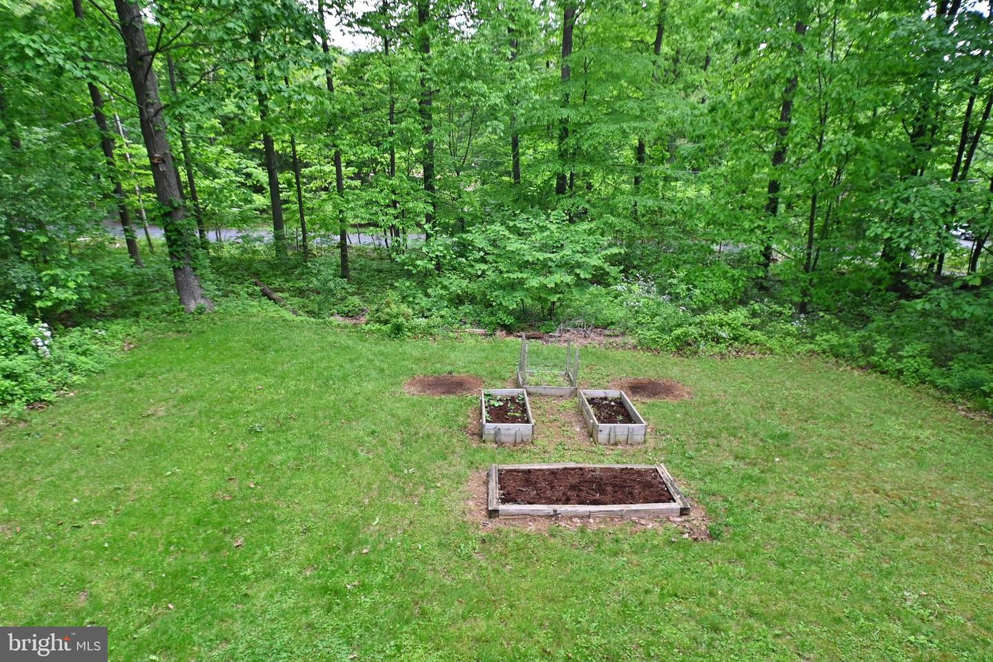 359 OLD LINDEN RD, LINDEN, Virginia 22642, 2 Bedrooms Bedrooms, 6 Rooms Rooms,2 BathroomsBathrooms,Residential,For sale,359 OLD LINDEN RD,VAWR2011082 MLS # VAWR2011082