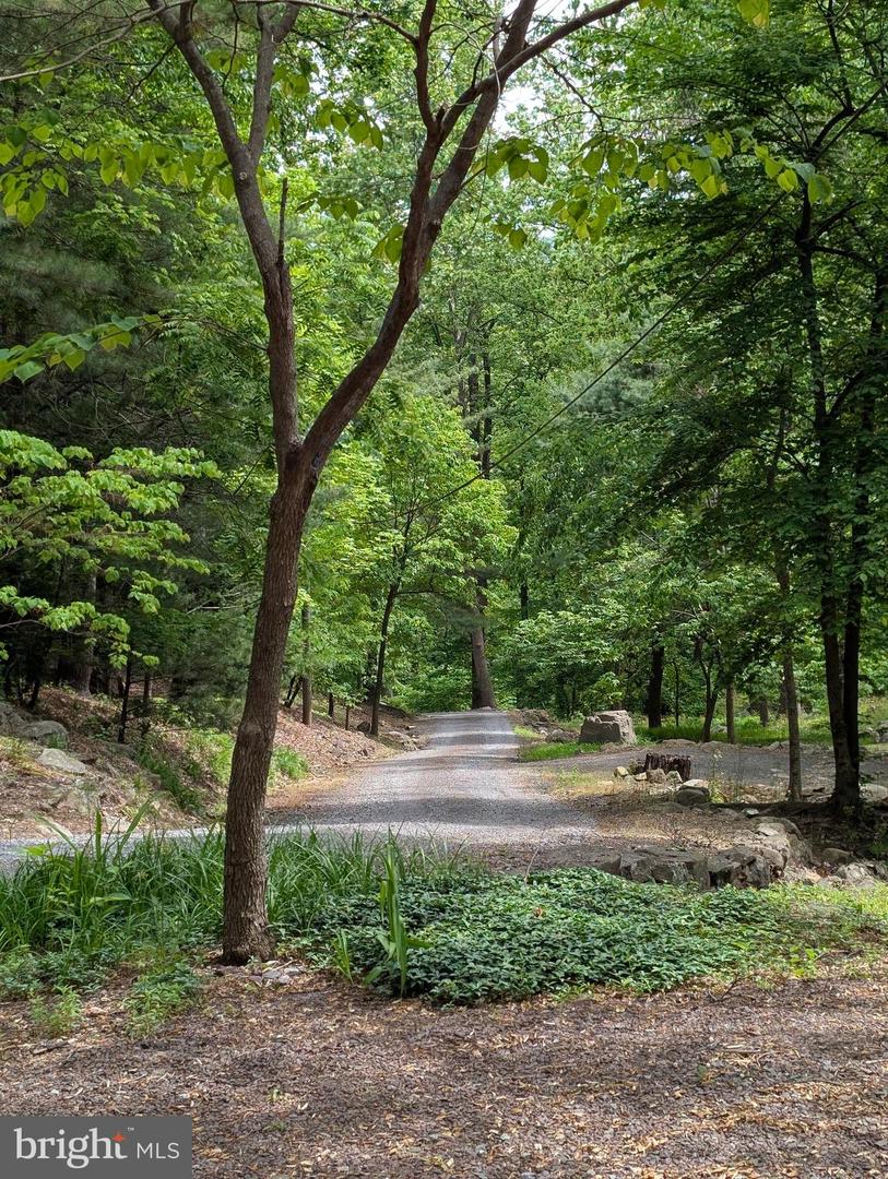 115 OVENTOP MOUNTAIN LN, SPERRYVILLE, Virginia 22740, 3 Bedrooms Bedrooms, ,2 BathroomsBathrooms,Residential,For sale,115 OVENTOP MOUNTAIN LN,VARP2002082 MLS # VARP2002082