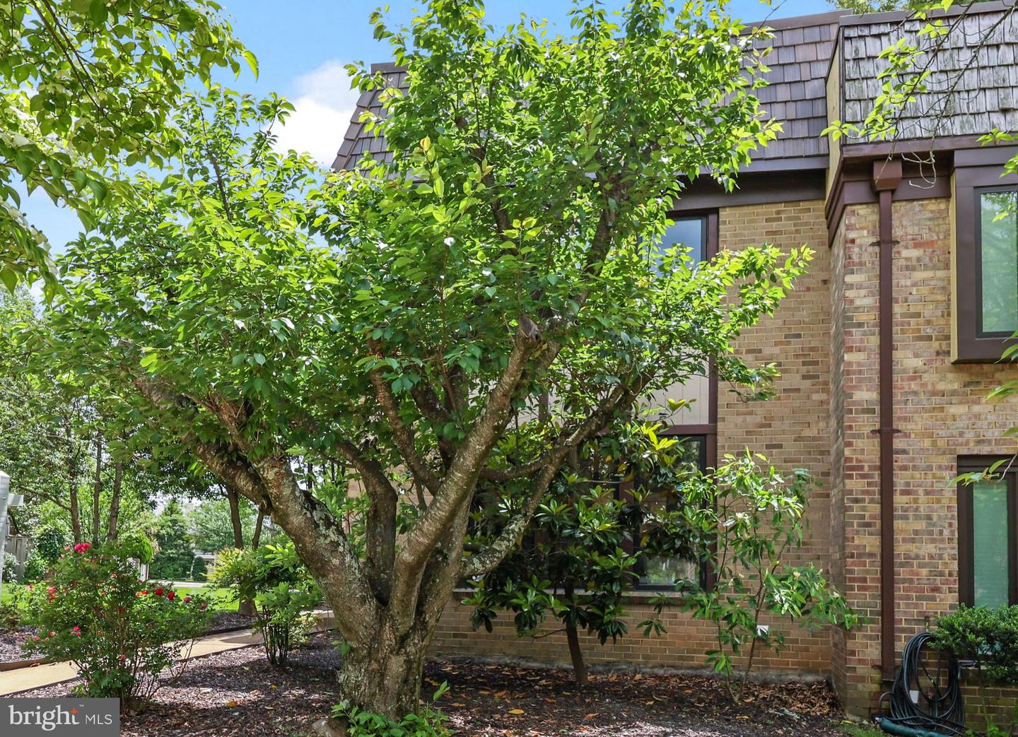 10219 BLAKE LN, OAKTON, Virginia 22124, 3 Bedrooms Bedrooms, ,4 BathroomsBathrooms,Residential,For sale,10219 BLAKE LN,VAFX2240734 MLS # VAFX2240734