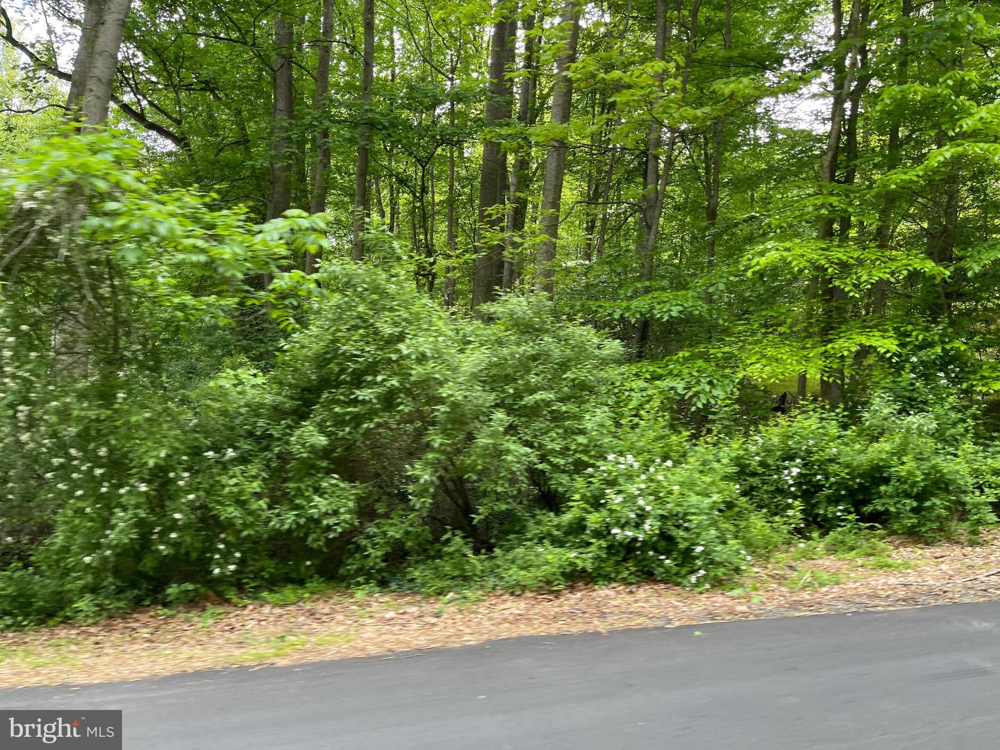 23360 MONROVIA RD, ORANGE, Virginia 22960, ,Land,For sale,23360 MONROVIA RD,VAOR2009416 MLS # VAOR2009416