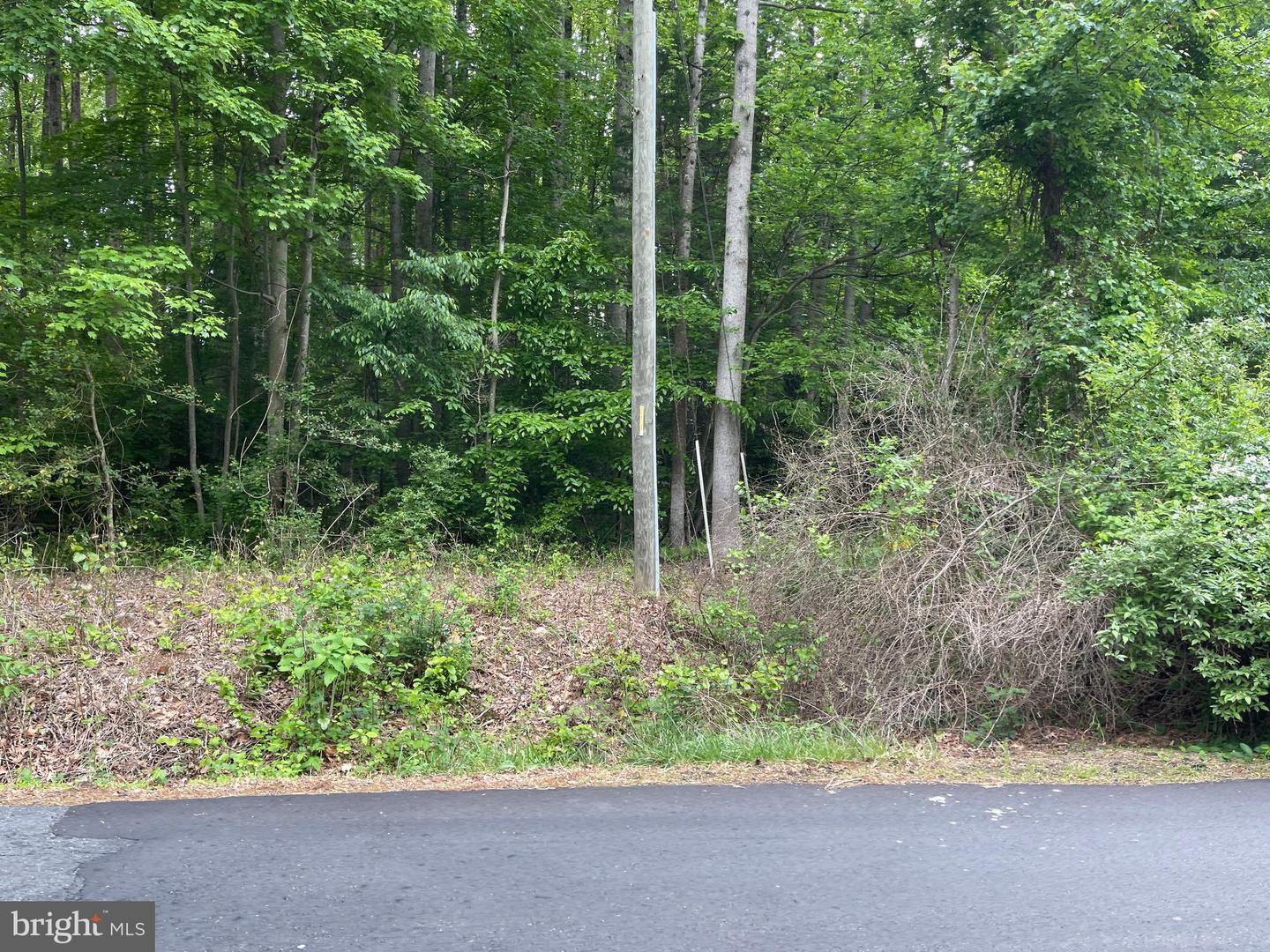 23360 MONROVIA RD, ORANGE, Virginia 22960, ,Land,For sale,23360 MONROVIA RD,VAOR2009416 MLS # VAOR2009416