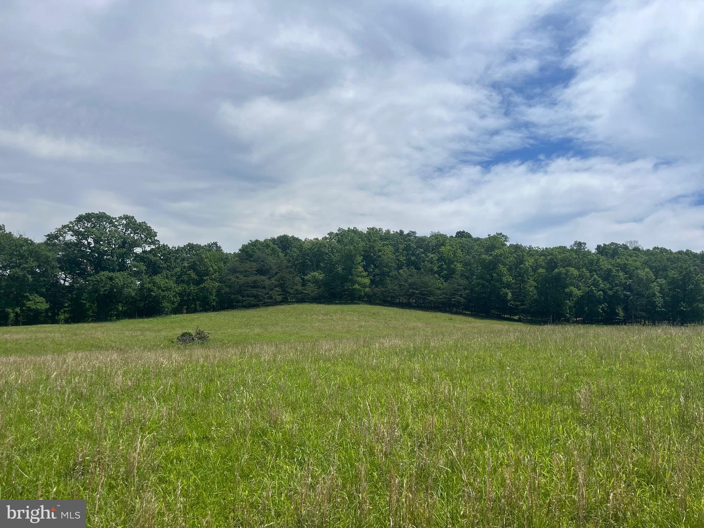 LOT 6 GUN CLUB RD, STEPHENSON, Virginia 22656, ,Land,For sale,LOT 6 GUN CLUB RD,VAFV2034302 MLS # VAFV2034302