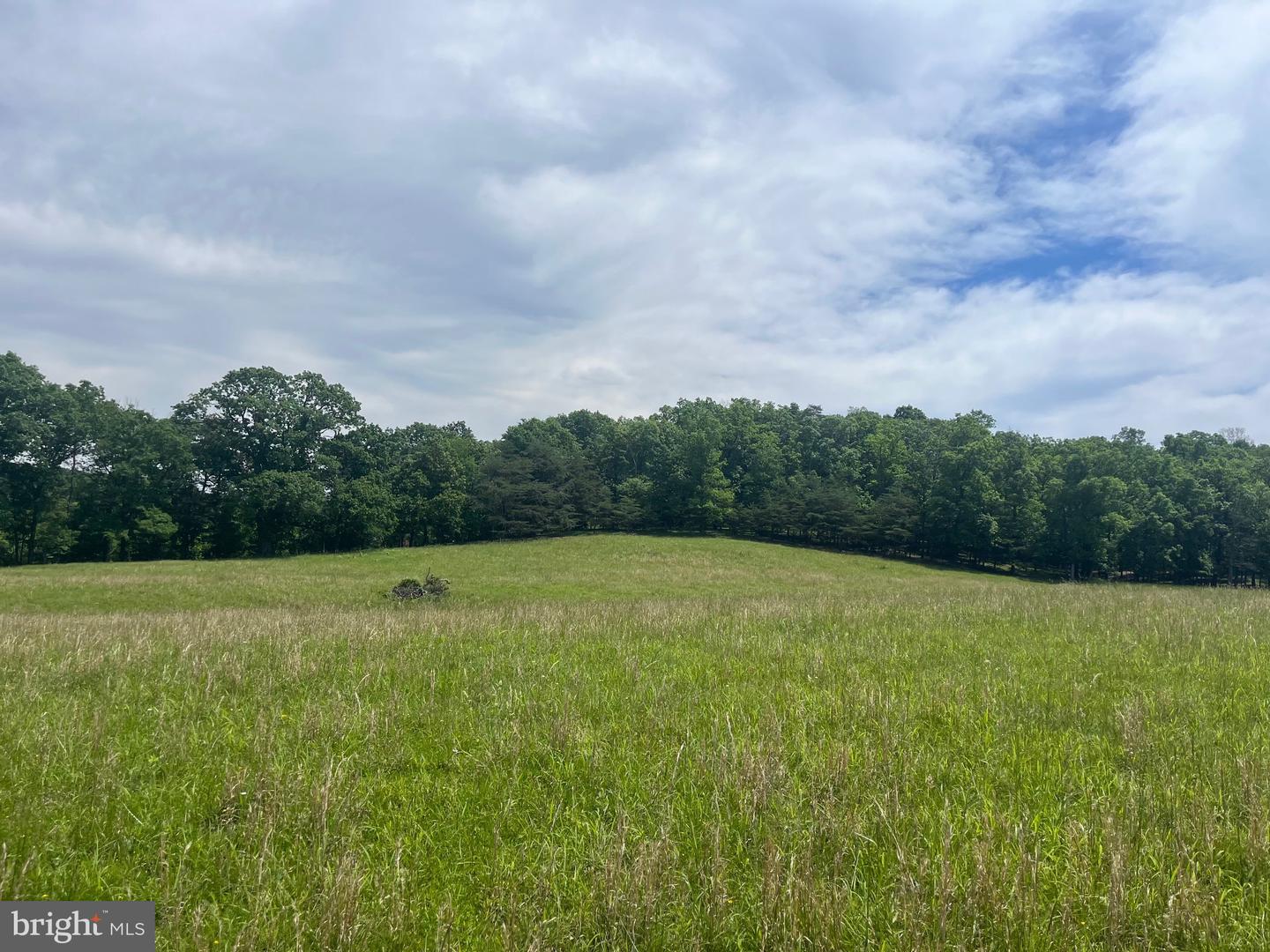 LOT 6 GUN CLUB RD, STEPHENSON, Virginia 22656, ,Land,For sale,LOT 6 GUN CLUB RD,VAFV2034302 MLS # VAFV2034302