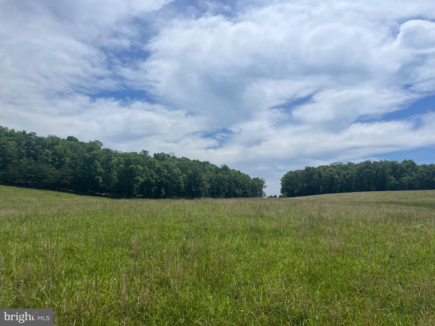 LOT 6 GUN CLUB RD, STEPHENSON, Virginia 22656, ,Land,For sale,LOT 6 GUN CLUB RD,VAFV2034302 MLS # VAFV2034302