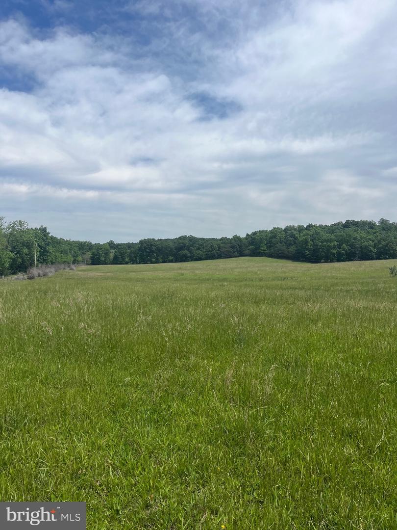 LOT 6 GUN CLUB RD, STEPHENSON, Virginia 22656, ,Land,For sale,LOT 6 GUN CLUB RD,VAFV2034302 MLS # VAFV2034302
