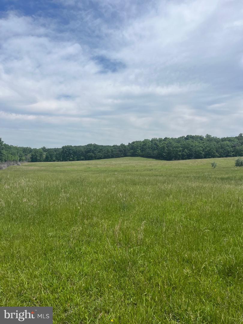 LOT 6 GUN CLUB RD, STEPHENSON, Virginia 22656, ,Land,For sale,LOT 6 GUN CLUB RD,VAFV2034302 MLS # VAFV2034302