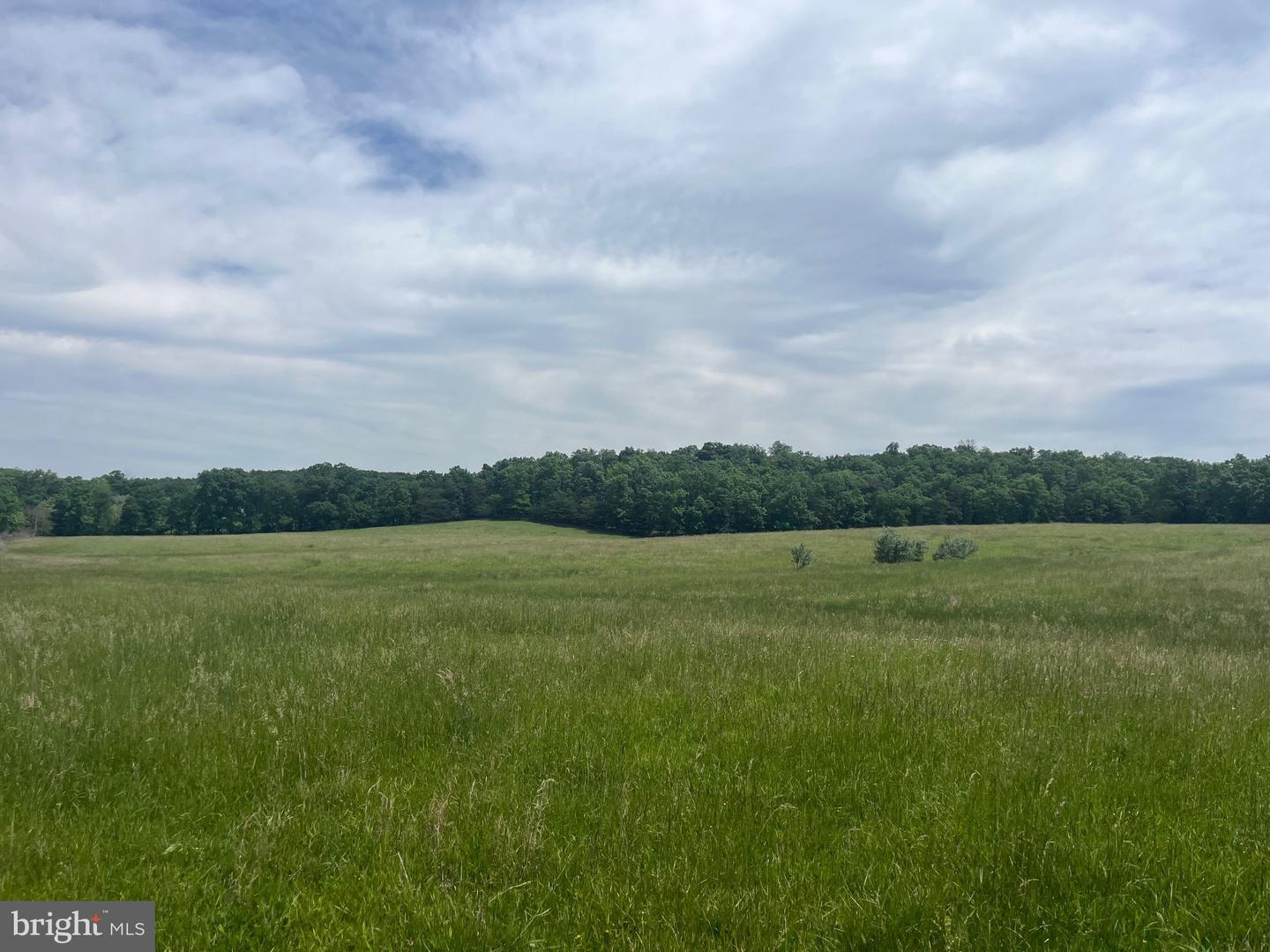 LOT 6 GUN CLUB RD, STEPHENSON, Virginia 22656, ,Land,For sale,LOT 6 GUN CLUB RD,VAFV2034302 MLS # VAFV2034302