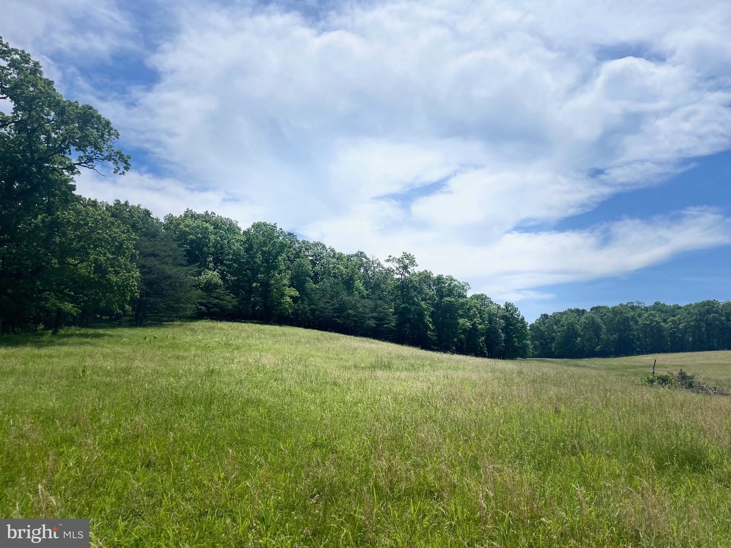LOT 6 GUN CLUB RD, STEPHENSON, Virginia 22656, ,Land,For sale,LOT 6 GUN CLUB RD,VAFV2034302 MLS # VAFV2034302