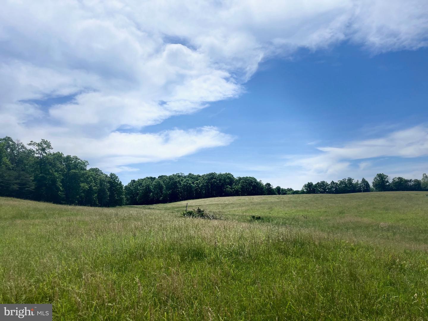 LOT 6 GUN CLUB RD, STEPHENSON, Virginia 22656, ,Land,For sale,LOT 6 GUN CLUB RD,VAFV2034302 MLS # VAFV2034302