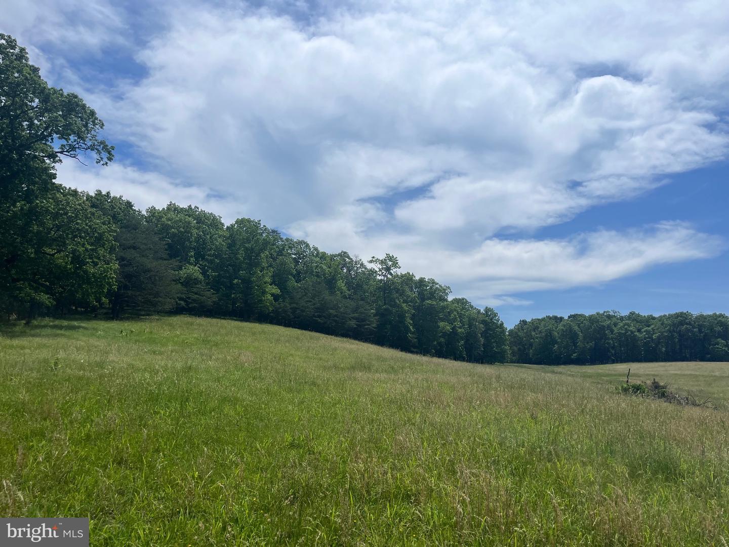 LOT 6 GUN CLUB RD, STEPHENSON, Virginia 22656, ,Land,For sale,LOT 6 GUN CLUB RD,VAFV2034302 MLS # VAFV2034302