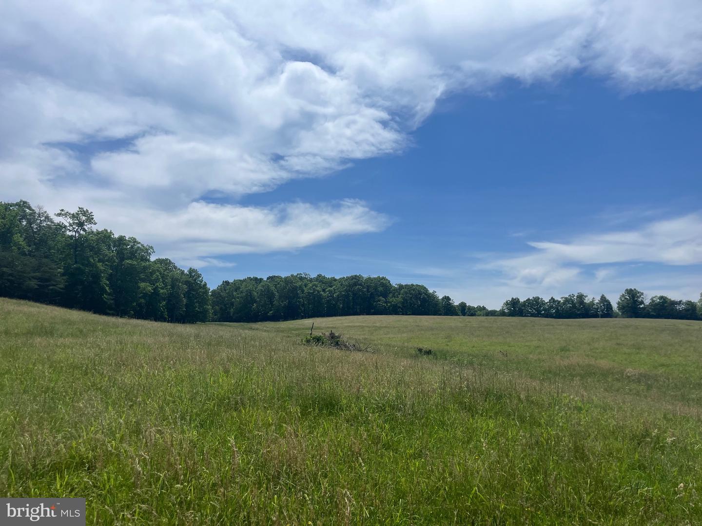 LOT 6 GUN CLUB RD, STEPHENSON, Virginia 22656, ,Land,For sale,LOT 6 GUN CLUB RD,VAFV2034302 MLS # VAFV2034302