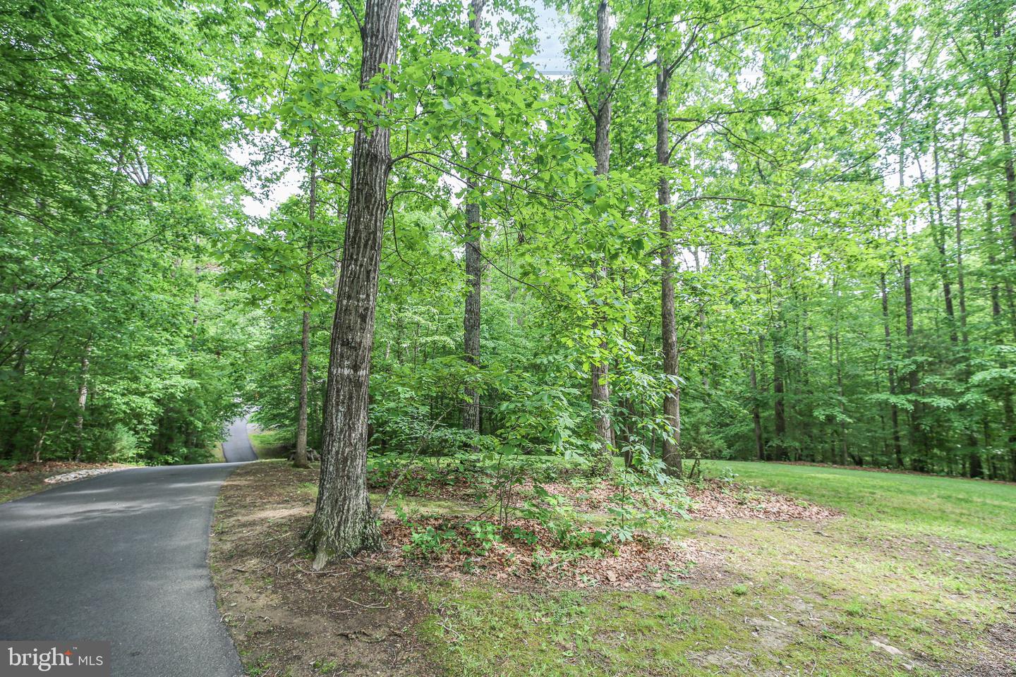 77 TIMBERIDGE DR, FREDERICKSBURG, Virginia 22406, 4 Bedrooms Bedrooms, ,3 BathroomsBathrooms,Residential,For sale,77 TIMBERIDGE DR,VAST2038998 MLS # VAST2038998