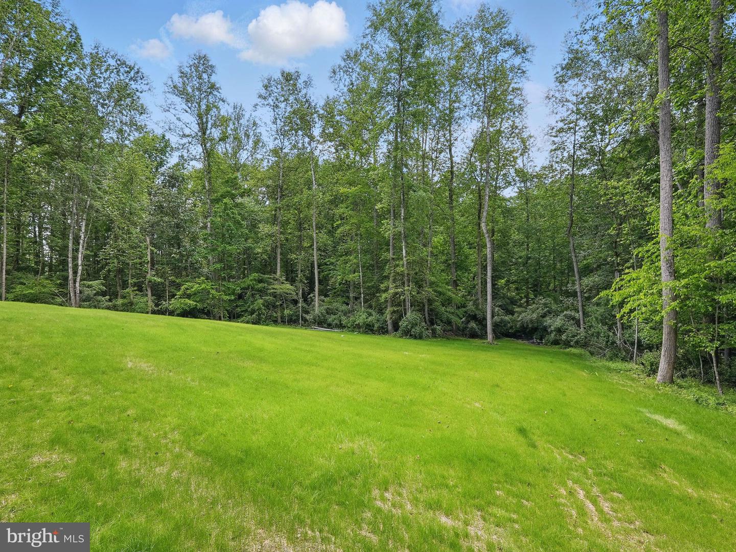 16355 BLACK HILL ROAD, RIXEYVILLE, Virginia 22737, 3 Bedrooms Bedrooms, ,2 BathroomsBathrooms,Residential,For sale,16355 BLACK HILL ROAD,VACU2010652 MLS # VACU2010652
