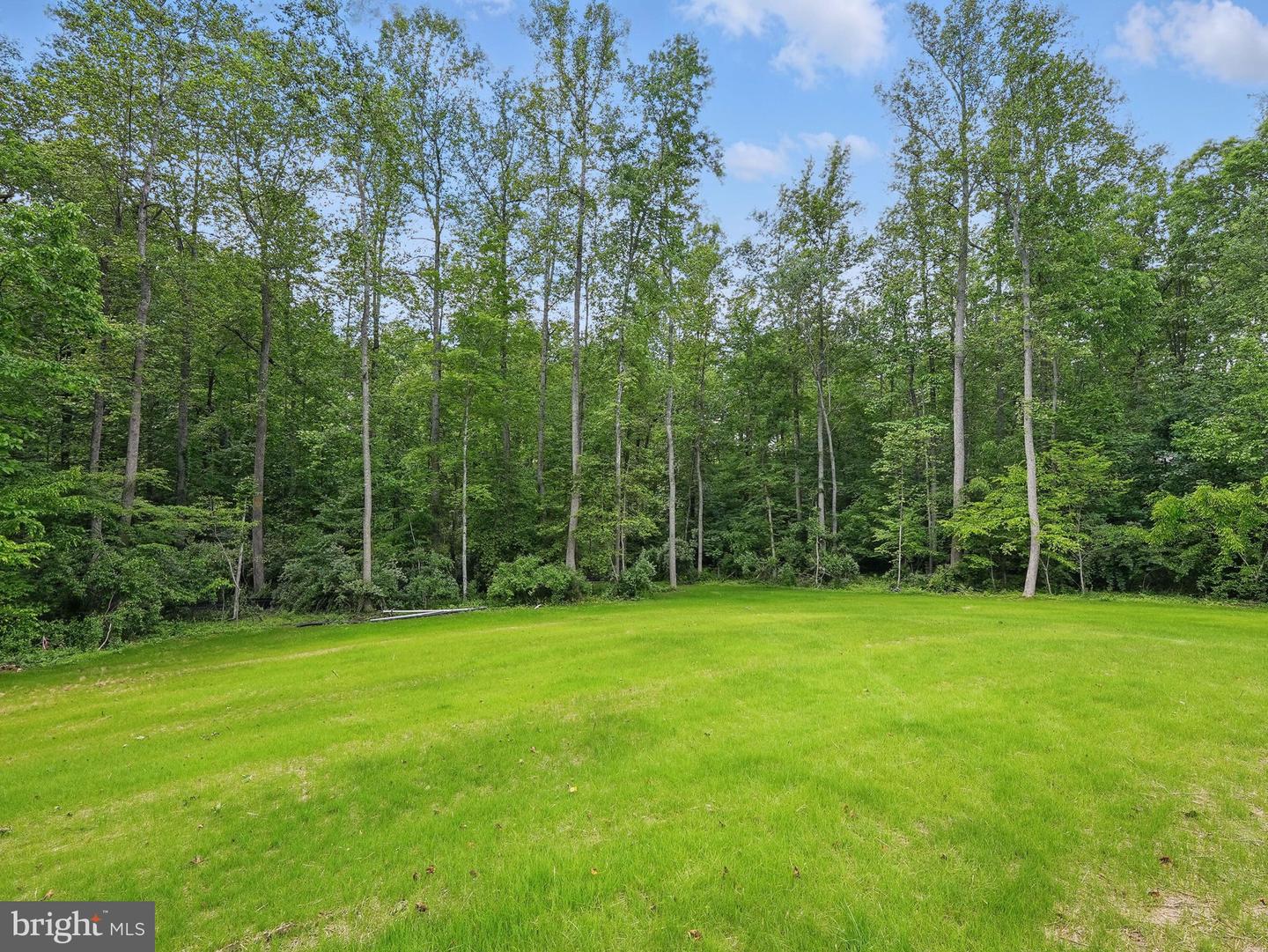 16355 BLACK HILL ROAD, RIXEYVILLE, Virginia 22737, 3 Bedrooms Bedrooms, ,2 BathroomsBathrooms,Residential,For sale,16355 BLACK HILL ROAD,VACU2010652 MLS # VACU2010652