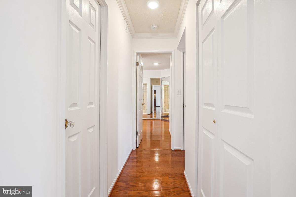 5904 MOUNT EAGLE DR #1105, ALEXANDRIA, Virginia 22303, 2 Bedrooms Bedrooms, 8 Rooms Rooms,2 BathroomsBathrooms,Residential,For sale,5904 MOUNT EAGLE DR #1105,VAFX2242470 MLS # VAFX2242470