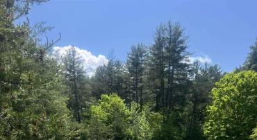 15128 HIGHLAND TPKE, HEADWATERS, Virginia 24442, ,Land,15128 HIGHLAND TPKE,664821 MLS # 664821