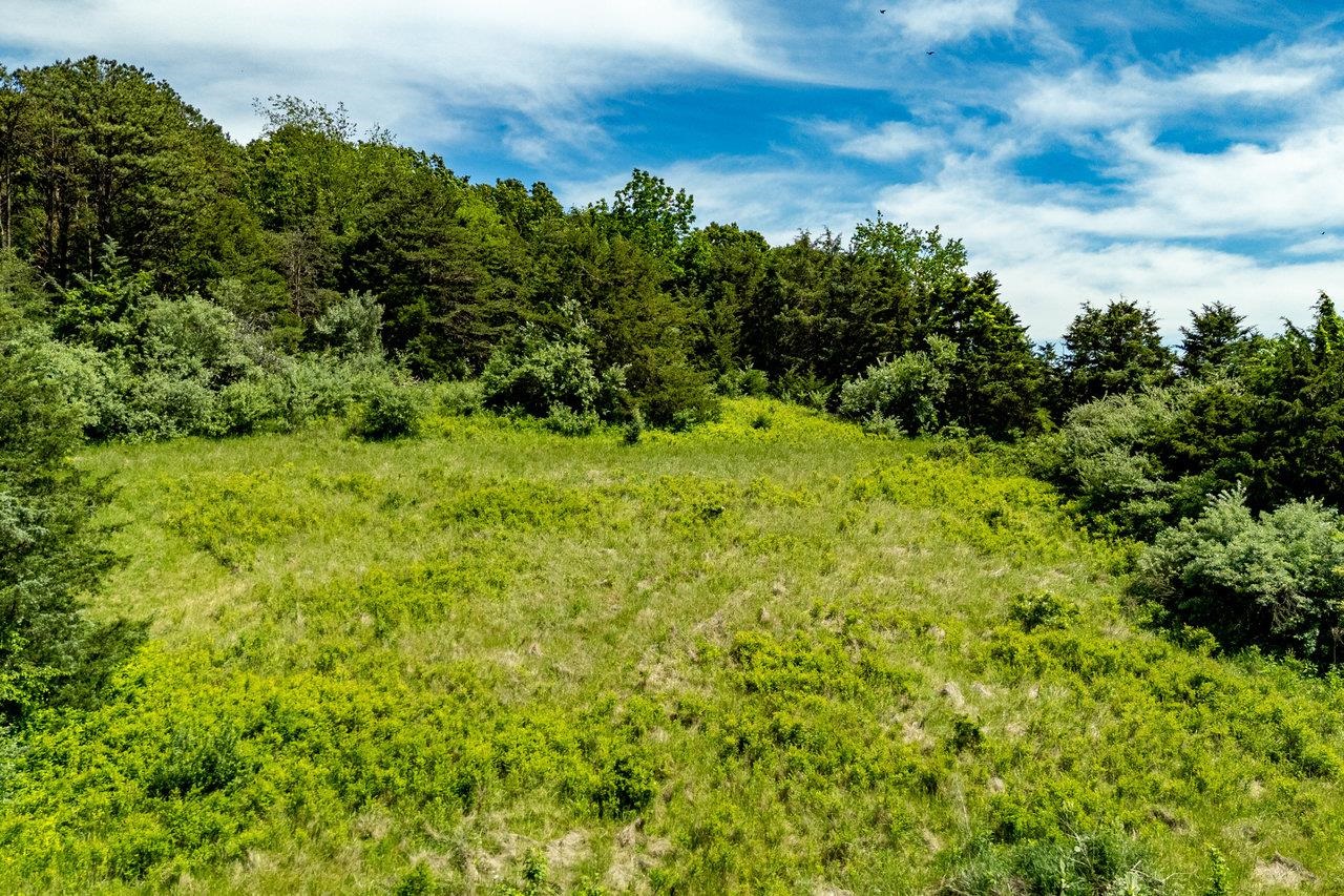 TBD CHARLBROOKE LN, STAUNTON, Virginia 24401, ,Land,TBD CHARLBROOKE LN,664848 MLS # 664848