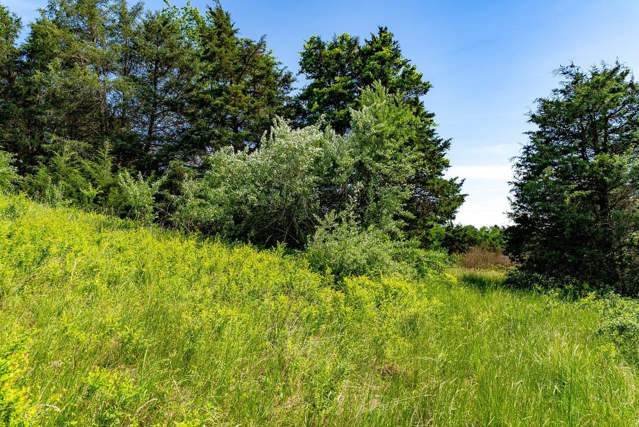 TBD CHARLBROOKE LN, STAUNTON, Virginia 24401, ,Land,TBD CHARLBROOKE LN,664848 MLS # 664848