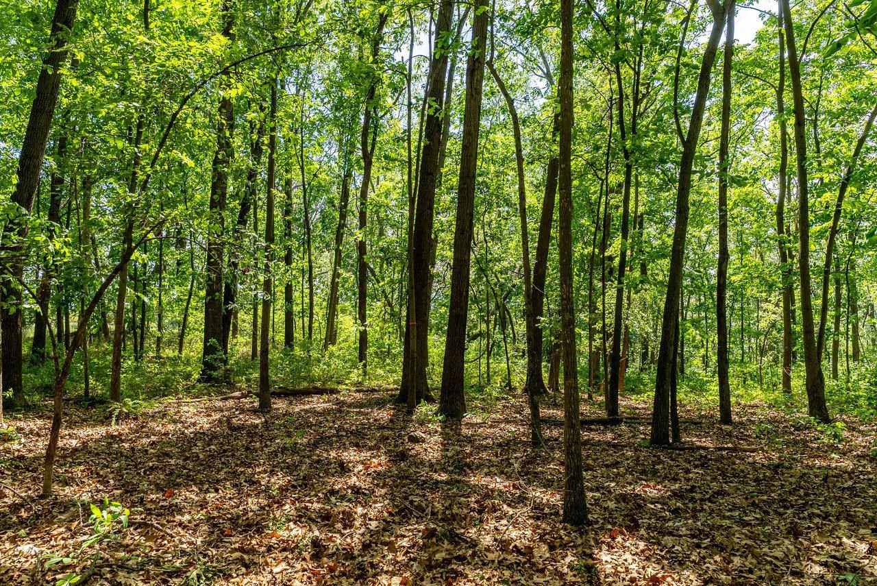 TBD CHARLBROOKE LN, STAUNTON, Virginia 24401, ,Land,TBD CHARLBROOKE LN,664848 MLS # 664848