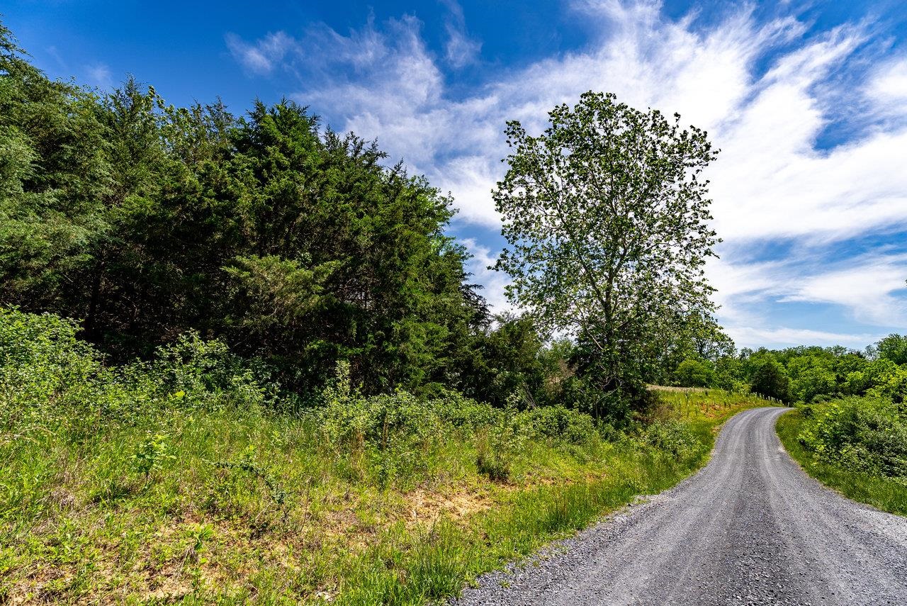 TBD CHARLBROOKE LN, STAUNTON, Virginia 24401, ,Land,TBD CHARLBROOKE LN,664848 MLS # 664848