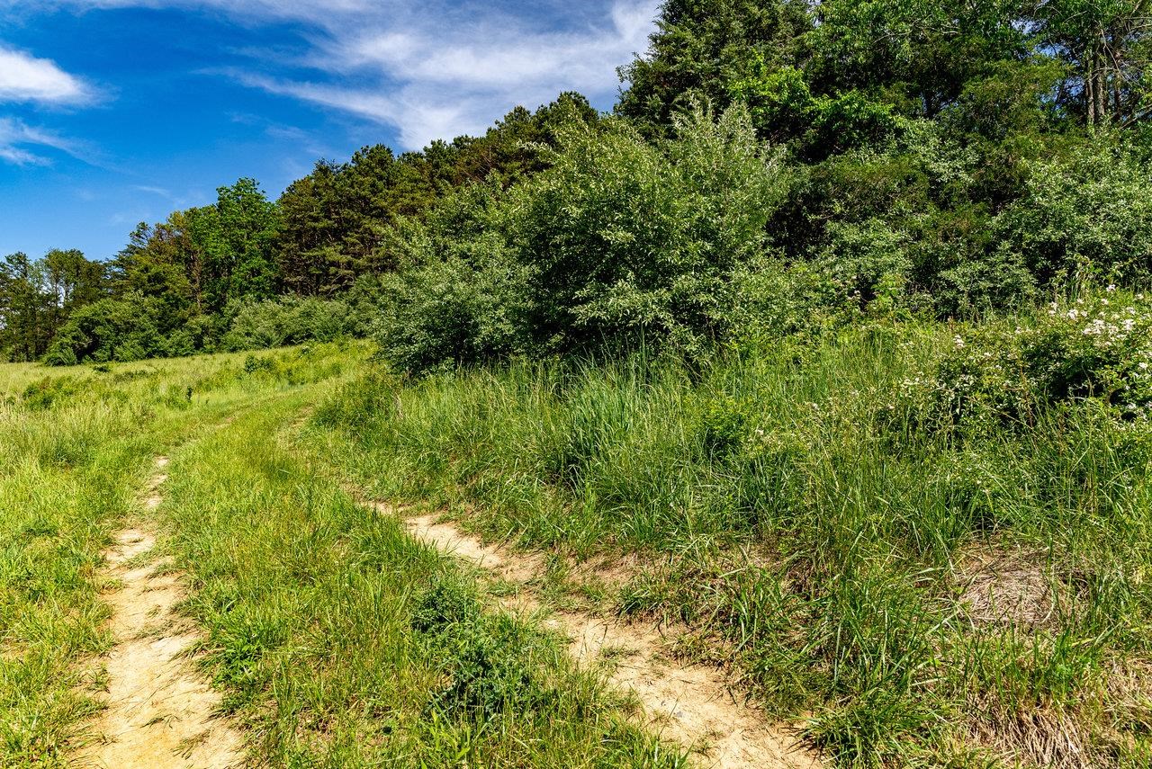 TBD CHARLBROOKE LN, STAUNTON, Virginia 24401, ,Land,TBD CHARLBROOKE LN,664848 MLS # 664848