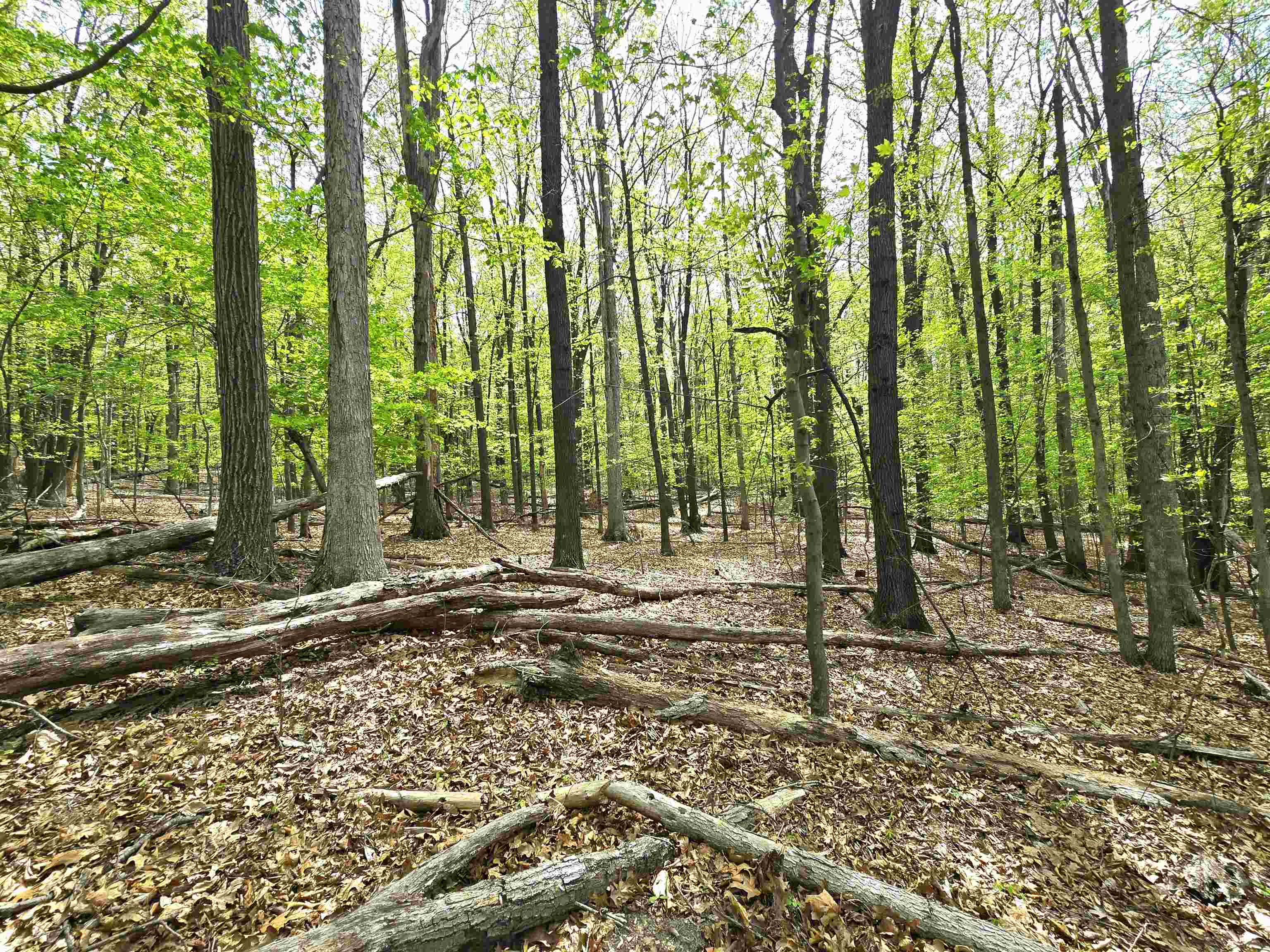 0 INDIAN RIDGE LN, ROCKINGHAM, Virginia 22802, ,Land,0 INDIAN RIDGE LN,664864 MLS # 664864