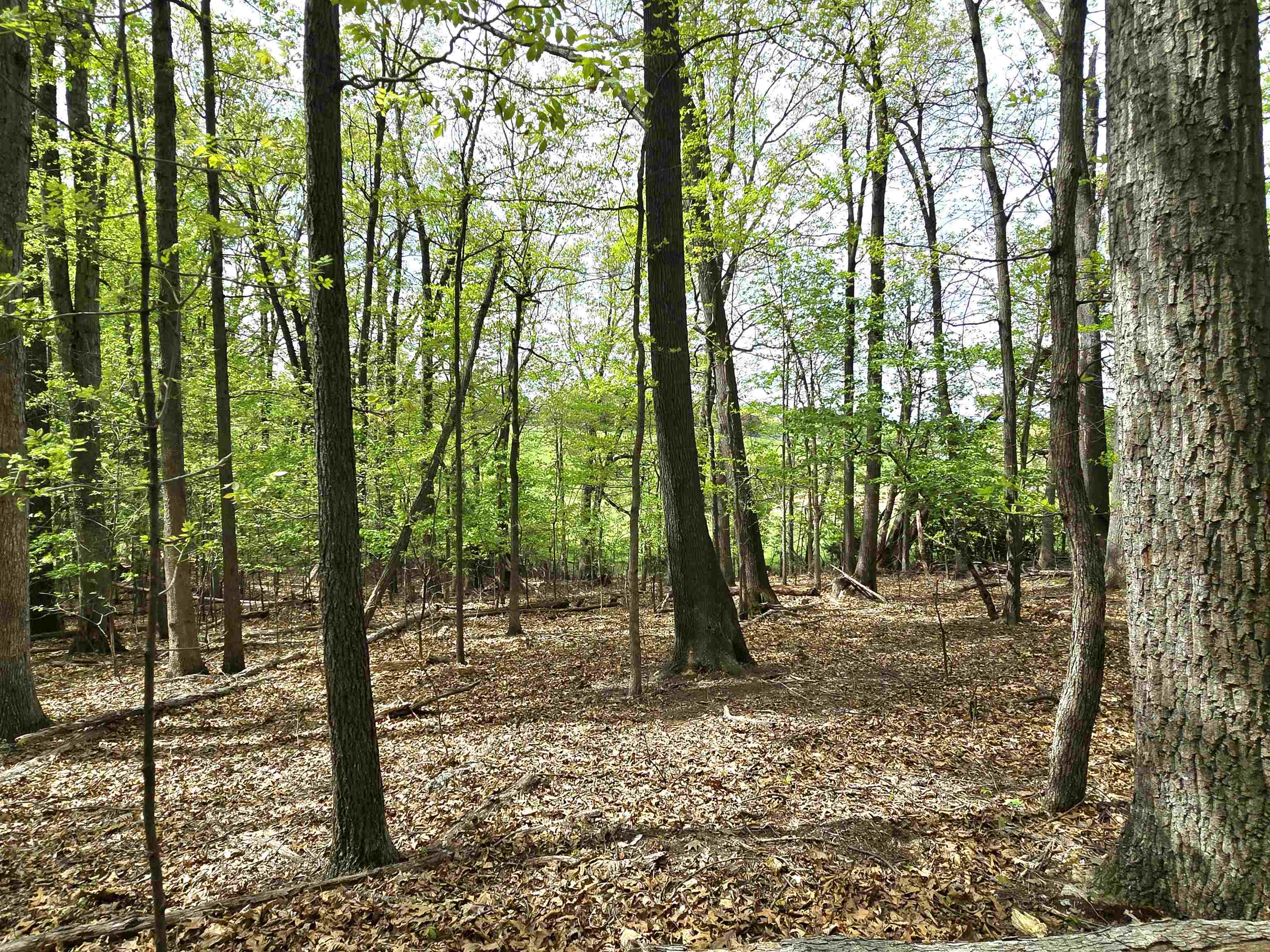 0 INDIAN RIDGE LN, ROCKINGHAM, Virginia 22802, ,Land,0 INDIAN RIDGE LN,664864 MLS # 664864