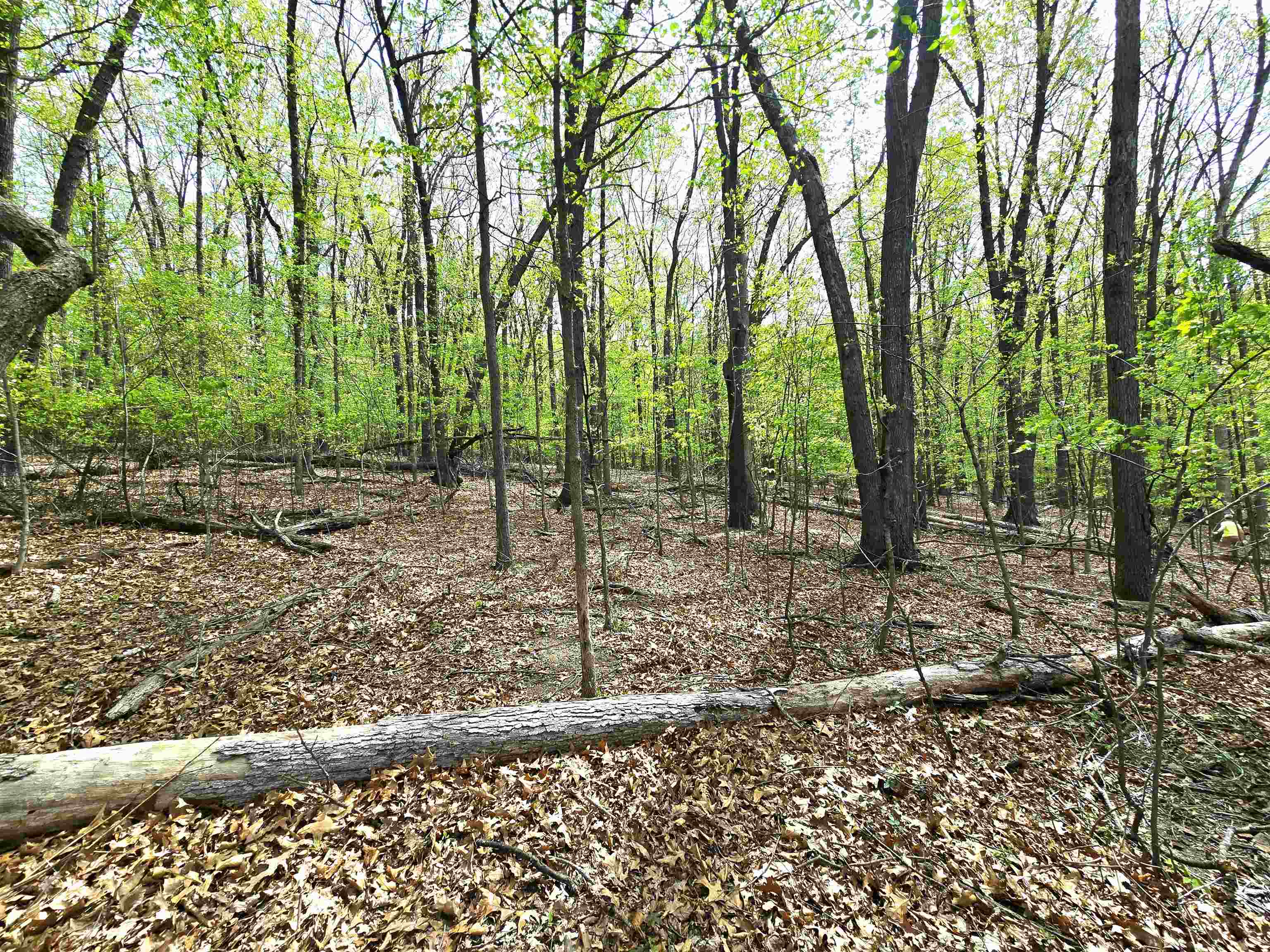 0 INDIAN RIDGE LN, ROCKINGHAM, Virginia 22802, ,Land,0 INDIAN RIDGE LN,664864 MLS # 664864