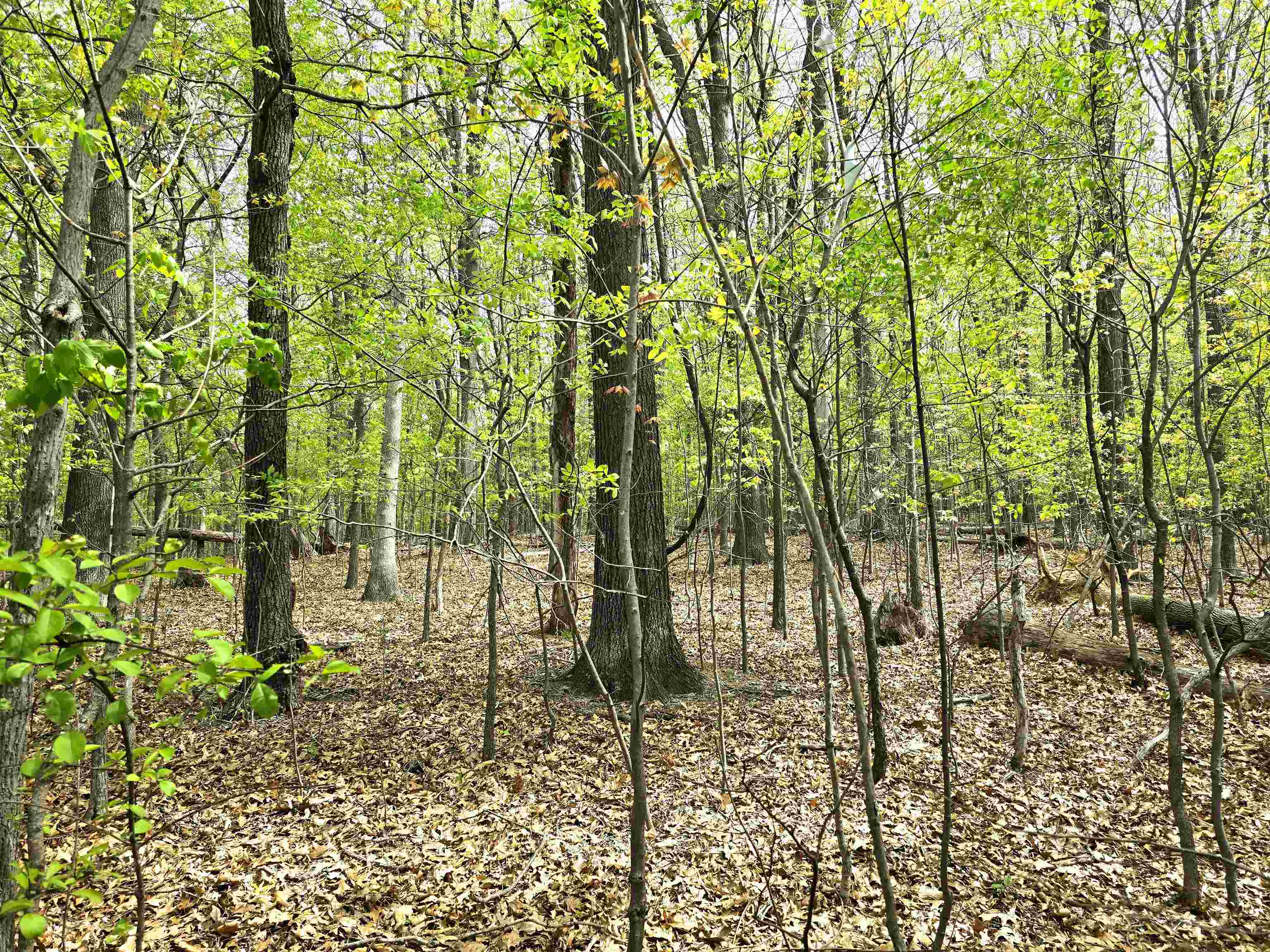 0 INDIAN RIDGE LN, ROCKINGHAM, Virginia 22802, ,Land,0 INDIAN RIDGE LN,664864 MLS # 664864