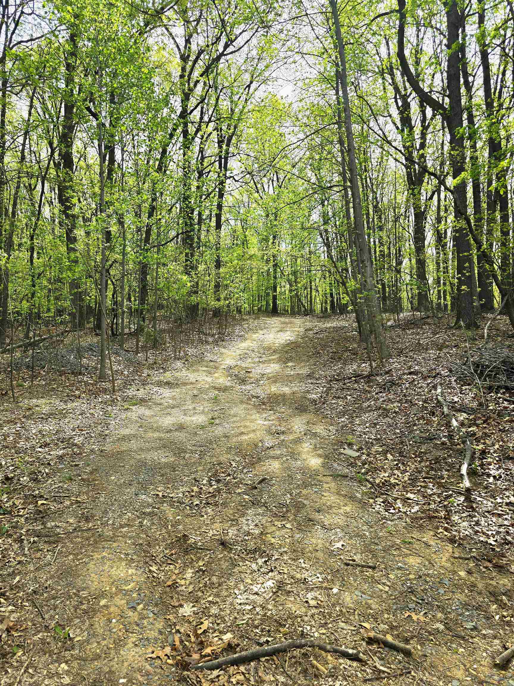 0 INDIAN RIDGE LN, ROCKINGHAM, Virginia 22802, ,Land,0 INDIAN RIDGE LN,664864 MLS # 664864