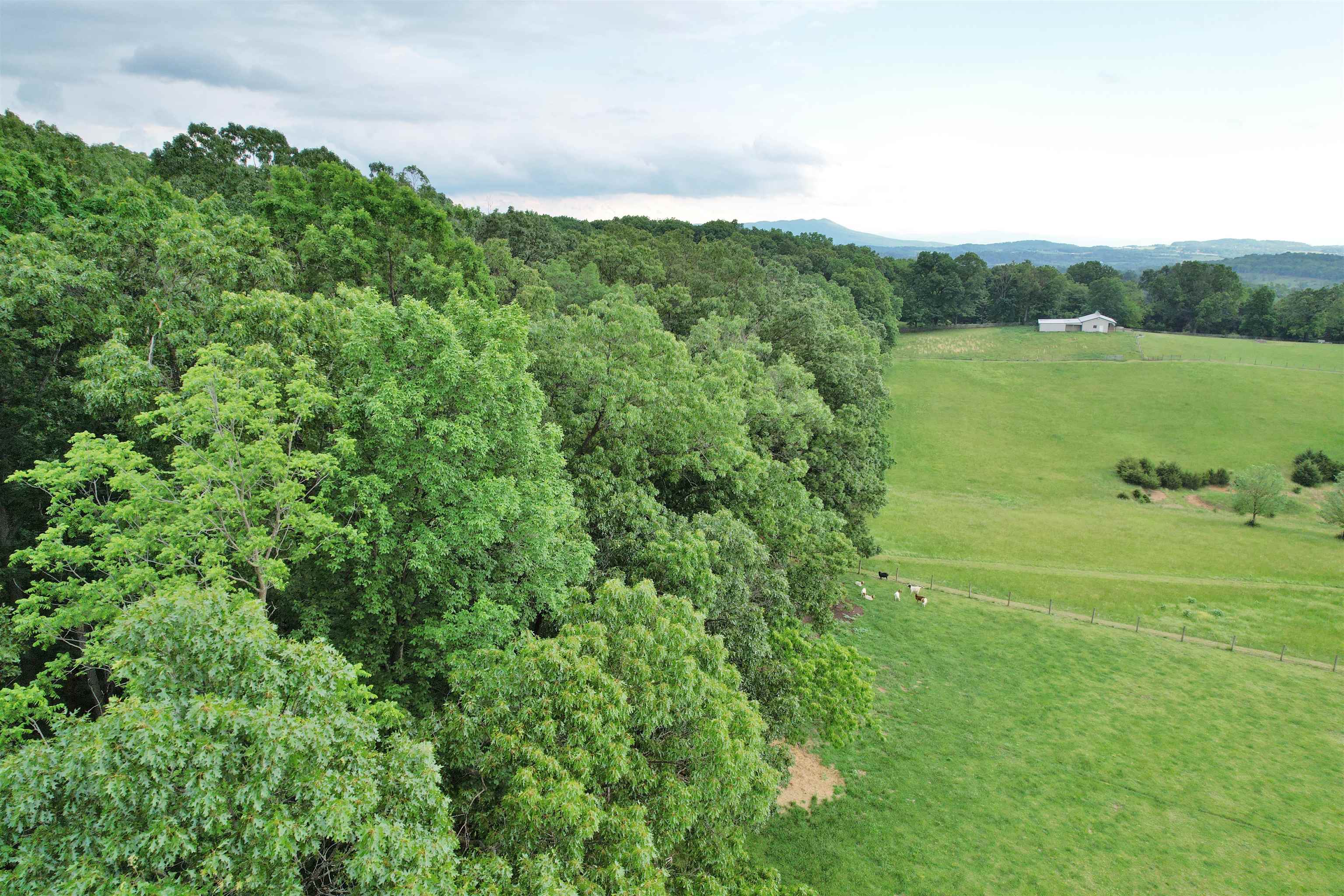 0 INDIAN RIDGE LN, ROCKINGHAM, Virginia 22802, ,Land,0 INDIAN RIDGE LN,664864 MLS # 664864