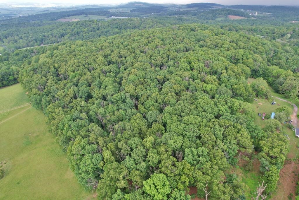 0 INDIAN RIDGE LN, ROCKINGHAM, Virginia 22802, ,Land,0 INDIAN RIDGE LN,664864 MLS # 664864