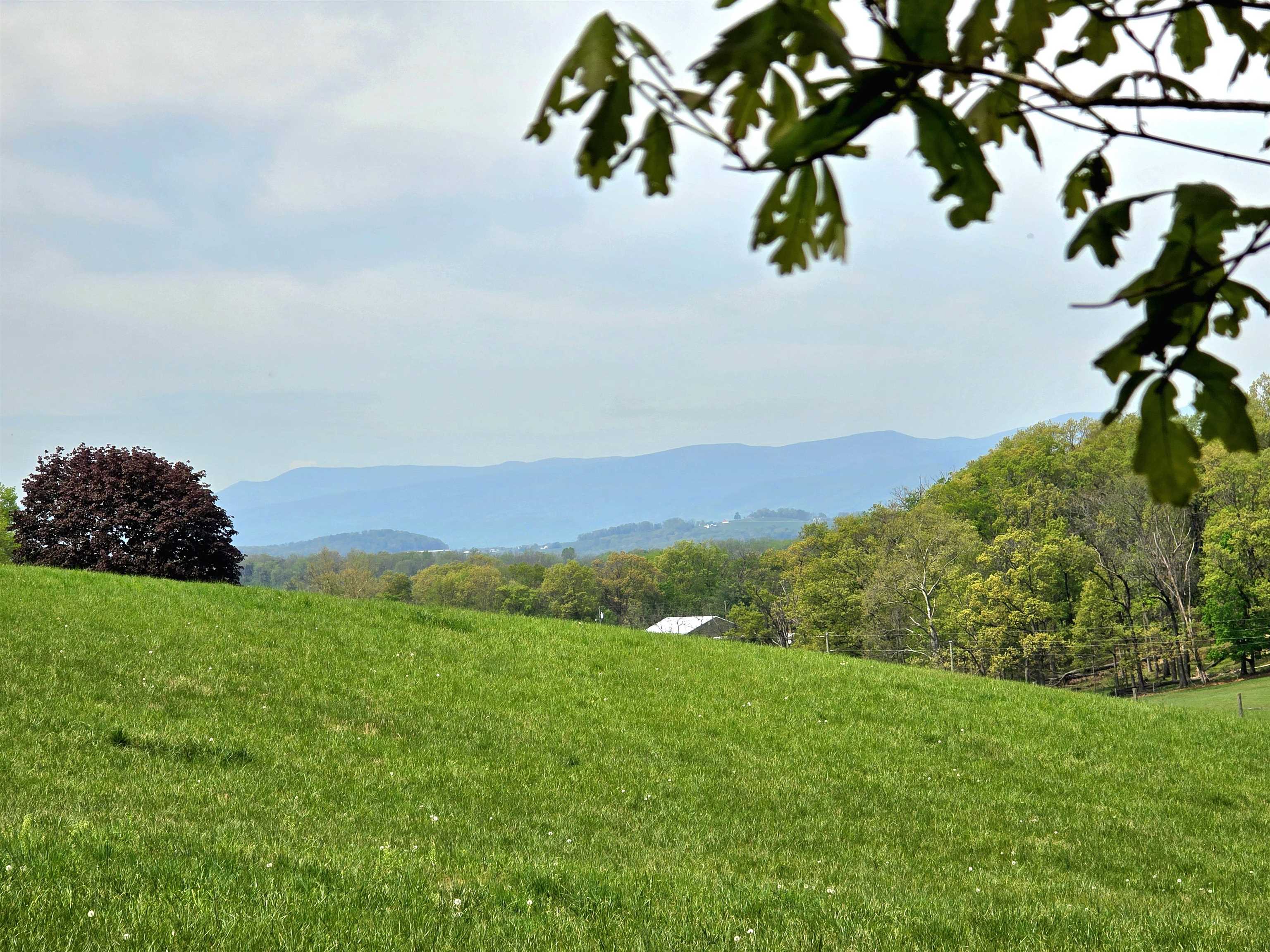 0 INDIAN RIDGE LN, ROCKINGHAM, Virginia 22802, ,Land,0 INDIAN RIDGE LN,664864 MLS # 664864