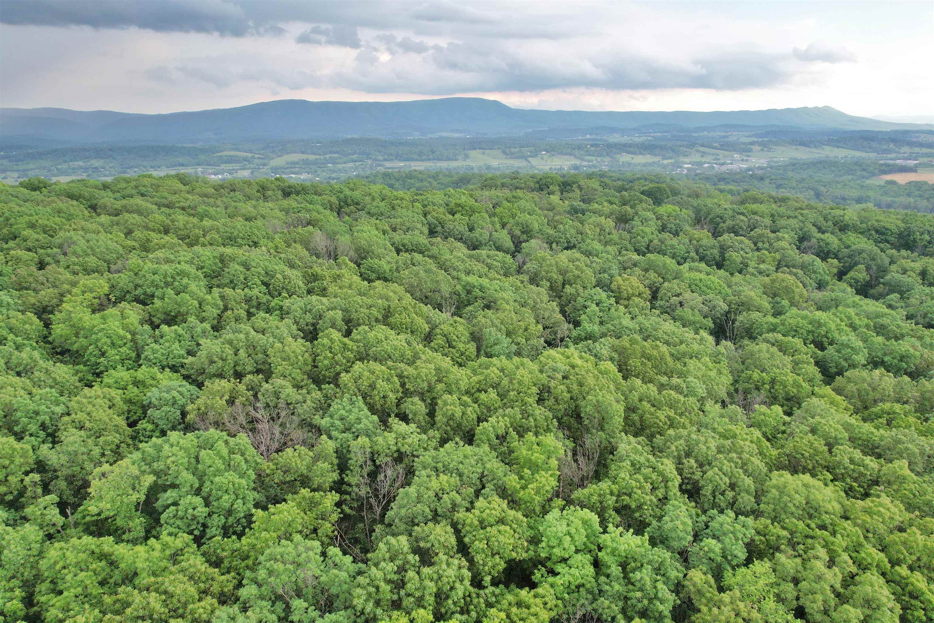 0 INDIAN RIDGE LN, ROCKINGHAM, Virginia 22802, ,Land,0 INDIAN RIDGE LN,664864 MLS # 664864