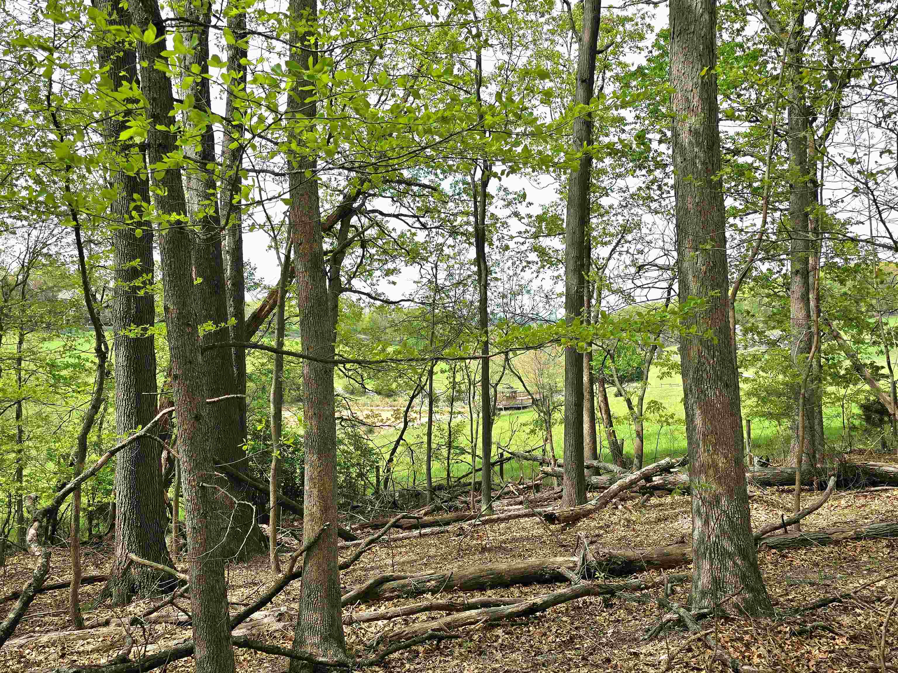 0 INDIAN RIDGE LN, ROCKINGHAM, Virginia 22802, ,Land,0 INDIAN RIDGE LN,664864 MLS # 664864