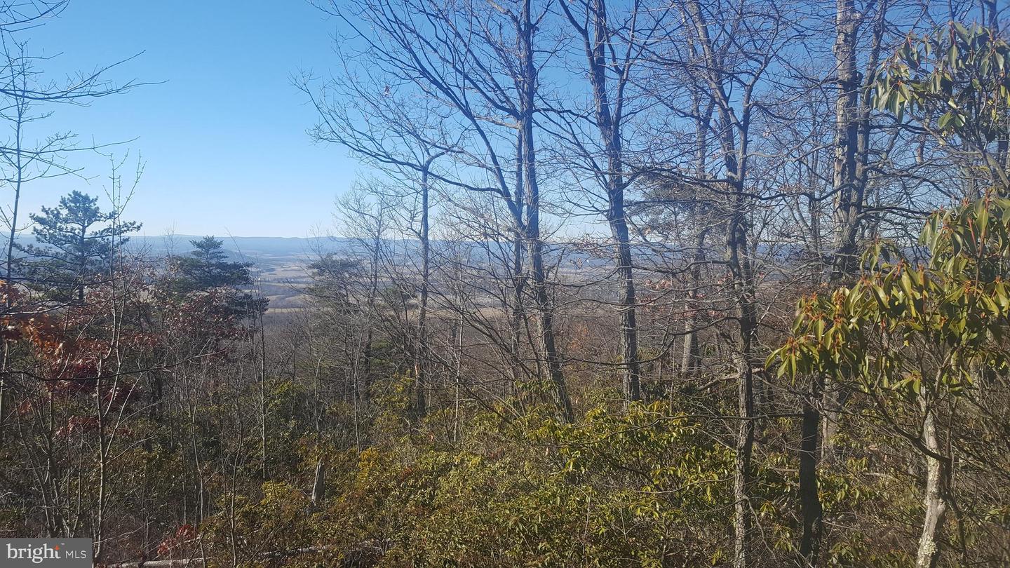 MOUNTAIN LAUREL DR, MOUNT JACKSON, Virginia 22842, ,Land,For sale,MOUNTAIN LAUREL DR,VASH2011532 MLS # VASH2011532