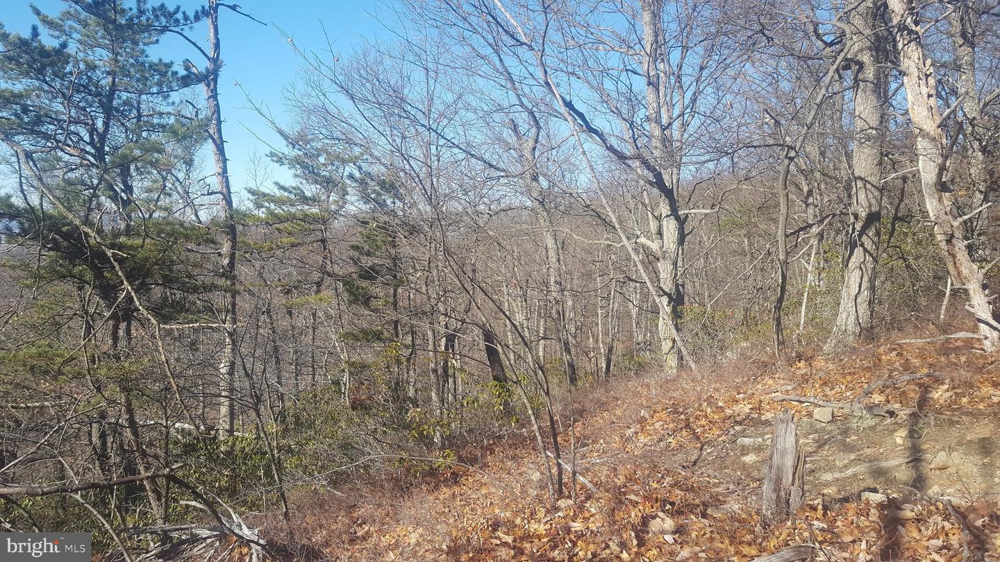 MOUNTAIN LAUREL DR, MOUNT JACKSON, Virginia 22842, ,Land,For sale,MOUNTAIN LAUREL DR,VASH2011532 MLS # VASH2011532