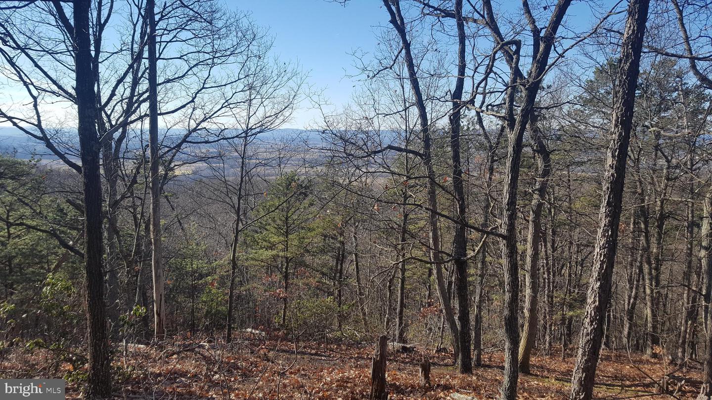 MOUNTAIN LAUREL DR, MOUNT JACKSON, Virginia 22842, ,Land,For sale,MOUNTAIN LAUREL DR,VASH2011532 MLS # VASH2011532