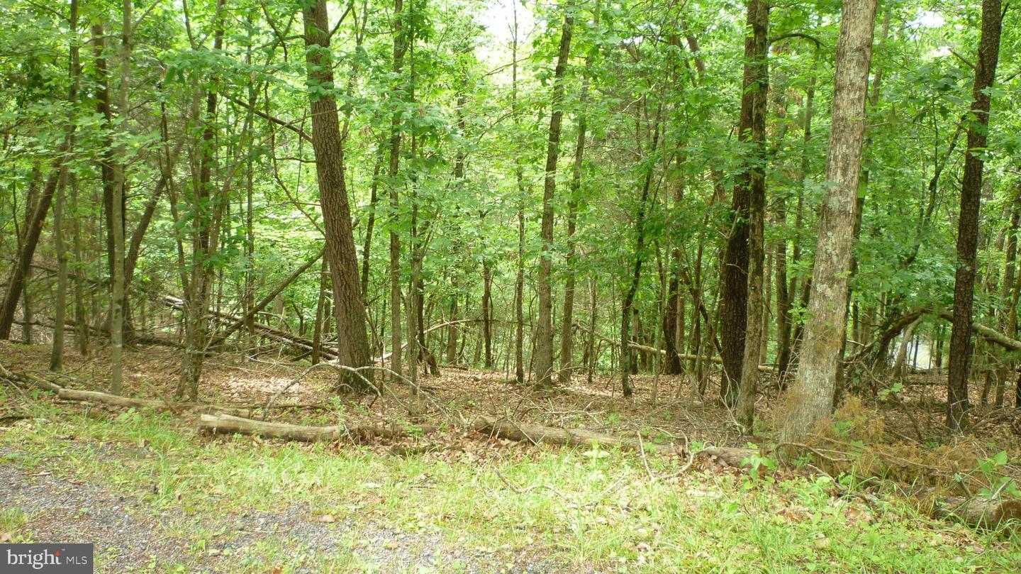 LOT 179 STUART DR, BASYE, Virginia 22810, ,Land,For sale,LOT 179 STUART DR,VASH2011538 MLS # VASH2011538