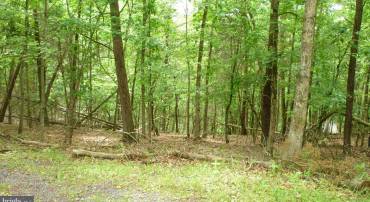 LOT 179 STUART DR, BASYE, Virginia 22810, ,Land,For sale,LOT 179 STUART DR,VASH2011538 MLS # VASH2011538