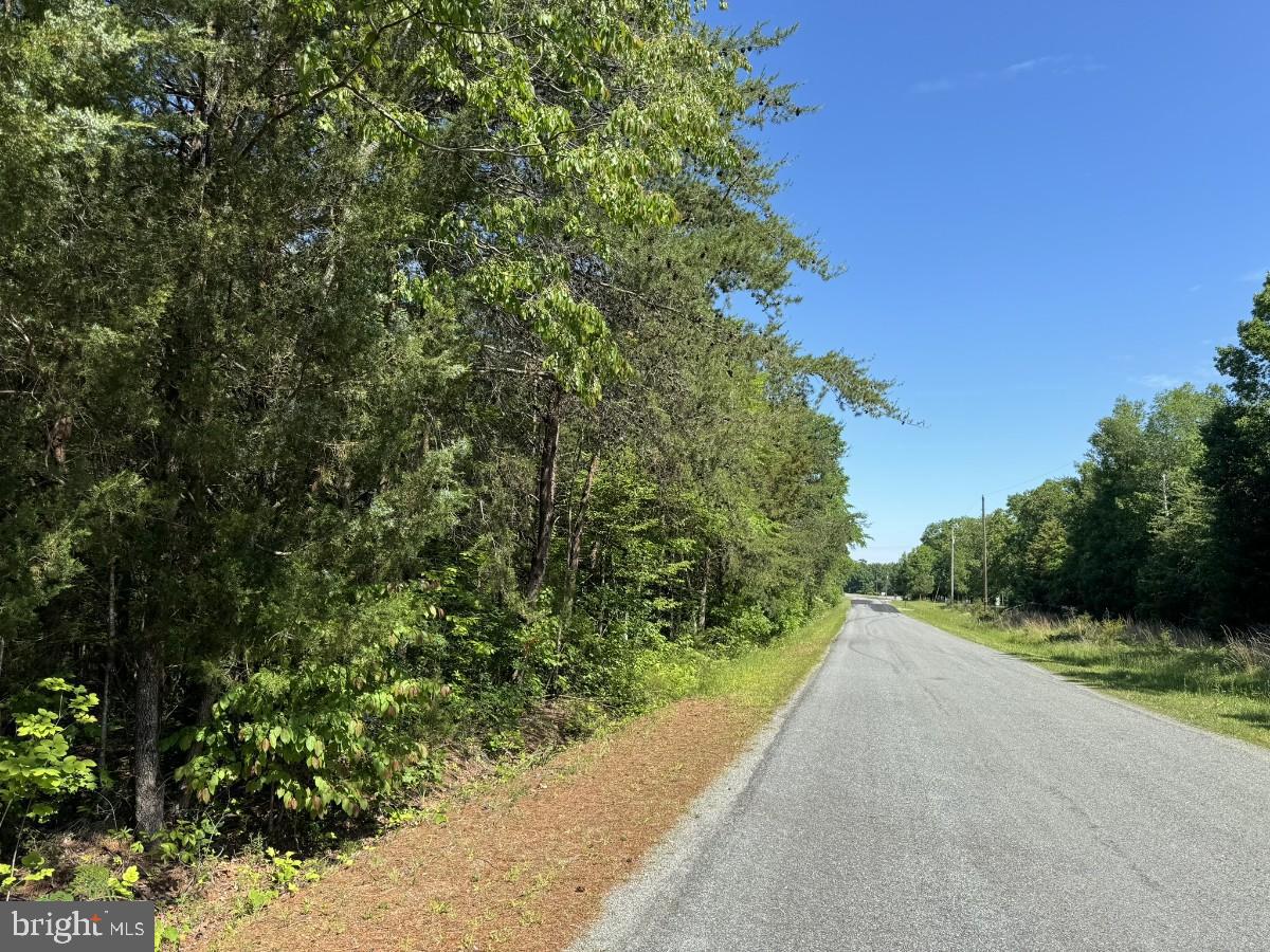 0 WHITE OAK FORK RD, VIRGILINA, Virginia 24598, ,Land,For sale,0 WHITE OAK FORK RD,VAHX2000102 MLS # VAHX2000102