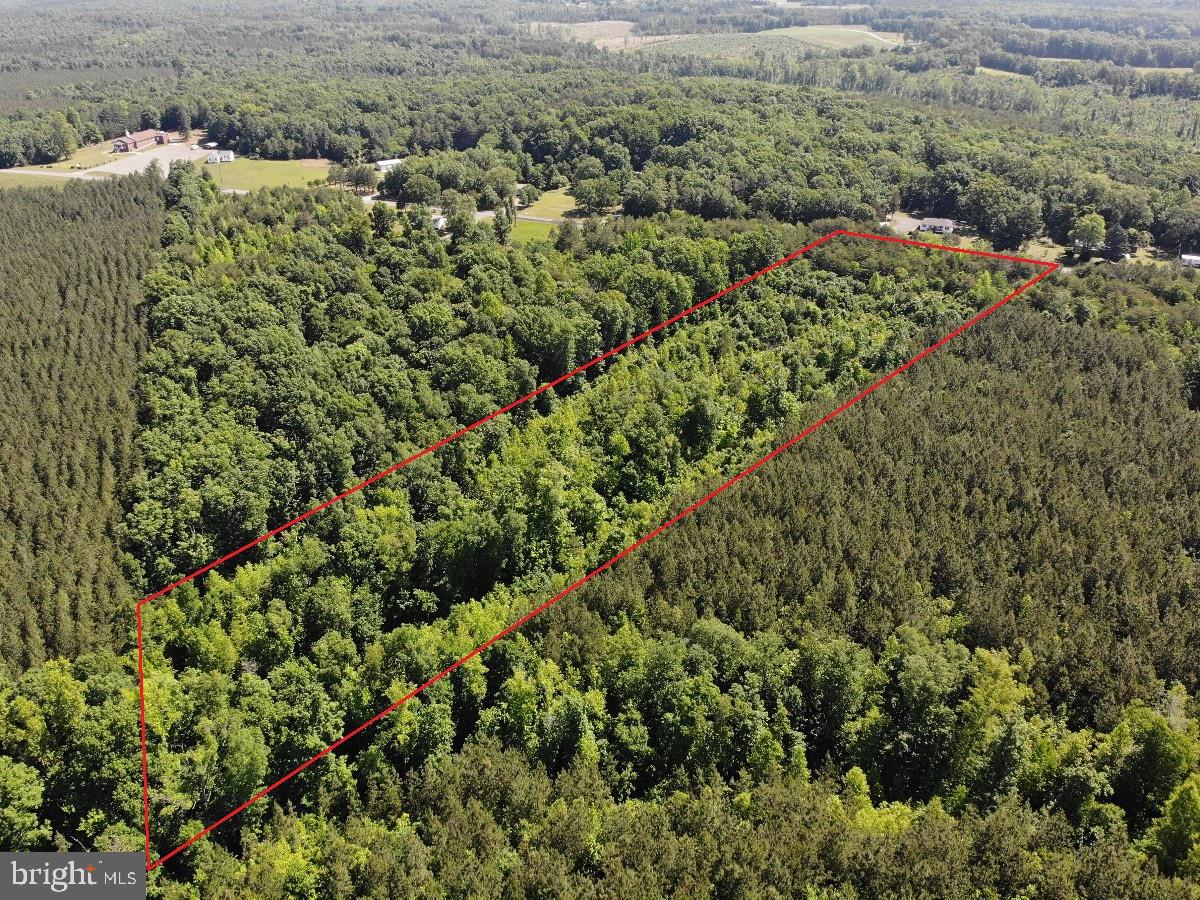 0 WHITE OAK FORK RD, VIRGILINA, Virginia 24598, ,Land,For sale,0 WHITE OAK FORK RD,VAHX2000102 MLS # VAHX2000102
