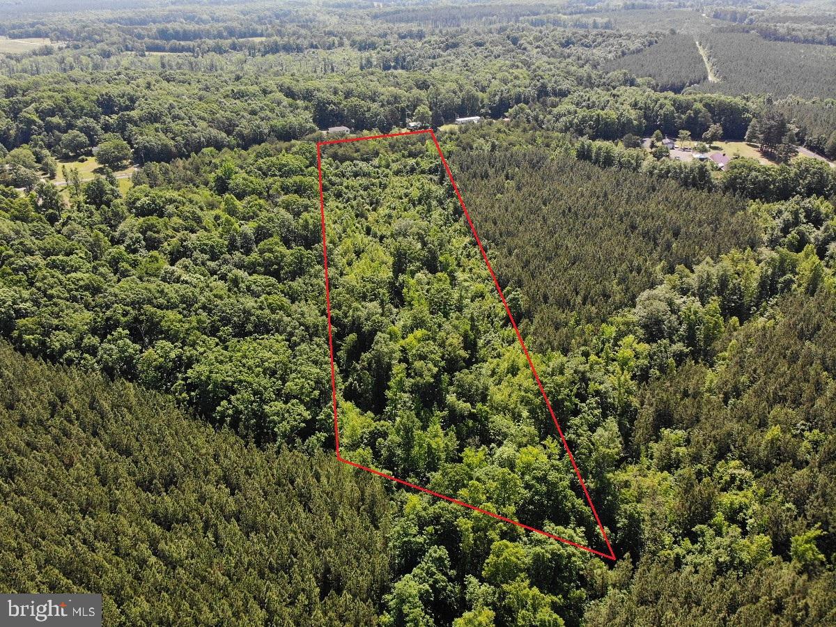 0 WHITE OAK FORK RD, VIRGILINA, Virginia 24598, ,Land,For sale,0 WHITE OAK FORK RD,VAHX2000102 MLS # VAHX2000102