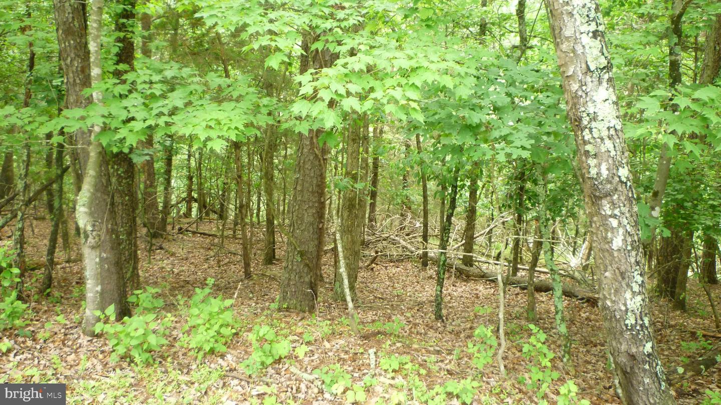 LOT 180 STUART DRIVE, BASYE, Virginia 22810, ,Land,For sale,LOT 180 STUART DRIVE,VASH2011542 MLS # VASH2011542